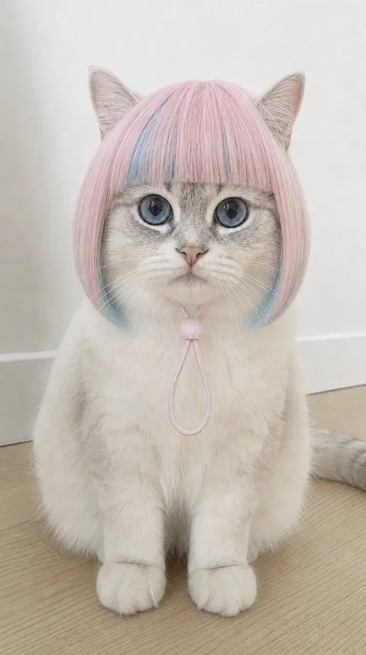 Pink Pet Hat