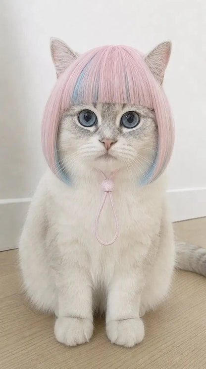 Pink Pet Hat